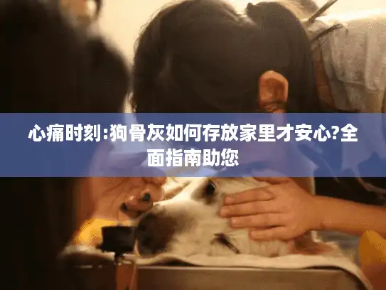 心痛时刻:狗骨灰如何存放家里才安心?全面指南助您