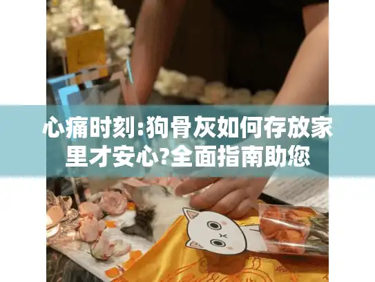 心痛时刻:狗骨灰如何存放家里才安心?全面指南助您