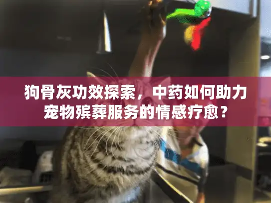 狗骨灰功效探索，中药如何助力宠物殡葬服务的情感疗愈？