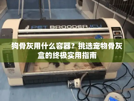 狗骨灰用什么容器？挑选宠物骨灰盒的终极实用指南