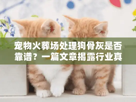 宠物火葬场处理狗骨灰是否靠谱？一篇文章揭露行业真相！