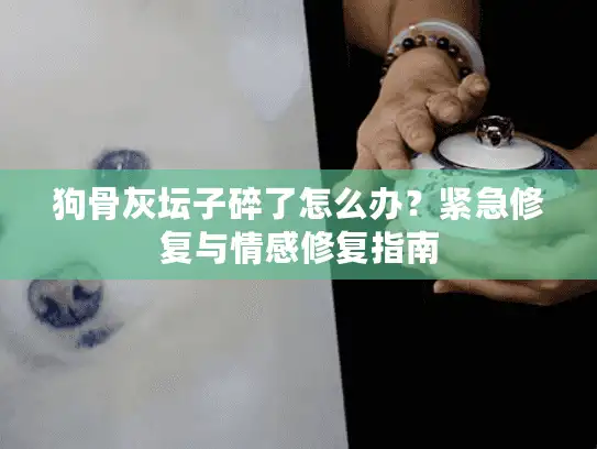 狗骨灰坛子碎了怎么办？紧急修复与情感修复指南