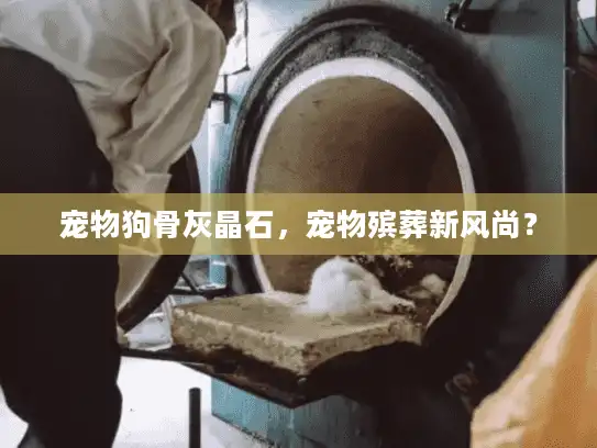 宠物狗骨灰晶石，宠物殡葬新风尚？