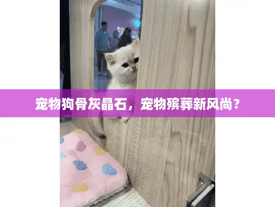 宠物狗骨灰晶石，宠物殡葬新风尚？