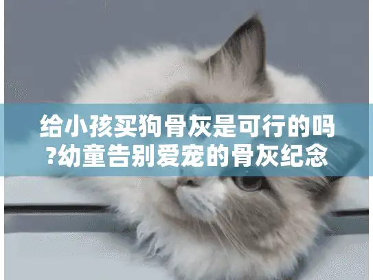 给小孩买狗骨灰是可行的吗?幼童告别爱宠的骨灰纪念选择指南