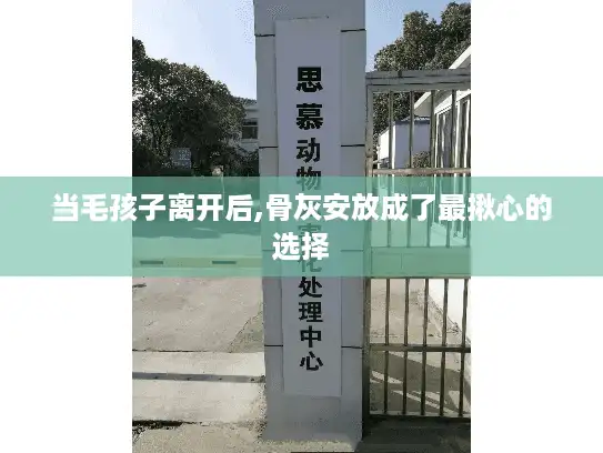 当毛孩子离开后,骨灰安放成了最揪心的选择