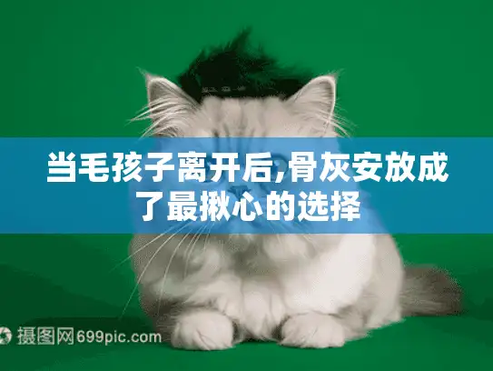 当毛孩子离开后,骨灰安放成了最揪心的选择