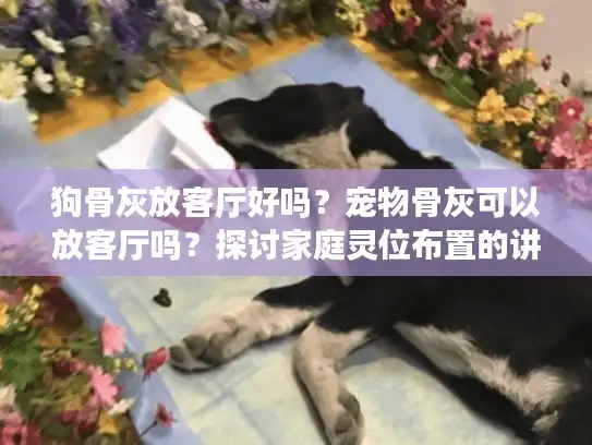 狗骨灰放客厅好吗？宠物骨灰可以放客厅吗？探讨家庭灵位布置的讲究