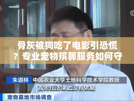 骨灰被狗吃了电影引恐慌？专业宠物殡葬服务如何守护最后的告别