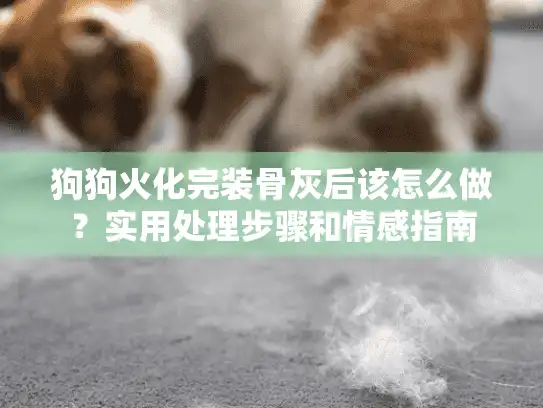 狗狗火化完装骨灰后该怎么做？实用处理步骤和情感指南