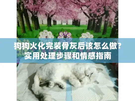 狗狗火化完装骨灰后该怎么做？实用处理步骤和情感指南