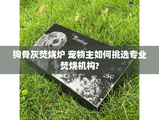 狗骨灰焚烧炉 宠物主如何挑选专业焚烧机构?