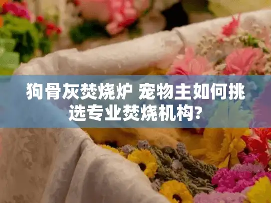 狗骨灰焚烧炉 宠物主如何挑选专业焚烧机构?
