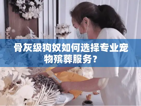 骨灰级狗奴如何选择专业宠物殡葬服务？