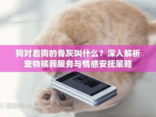 狗对着狗的骨灰叫什么？深入解析宠物殡葬服务与情感安抚策略