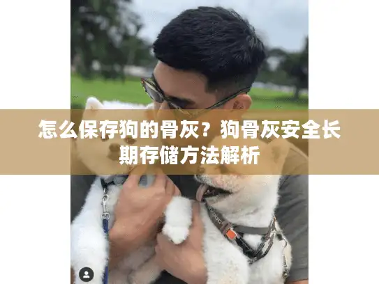 怎么保存狗的骨灰？狗骨灰安全长期存储方法解析