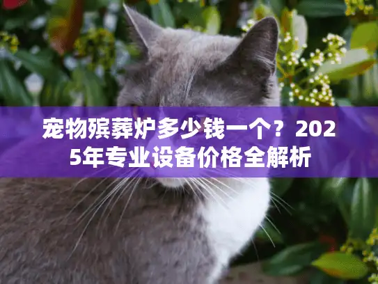宠物殡葬炉多少钱一个？2025年专业设备价格全解析