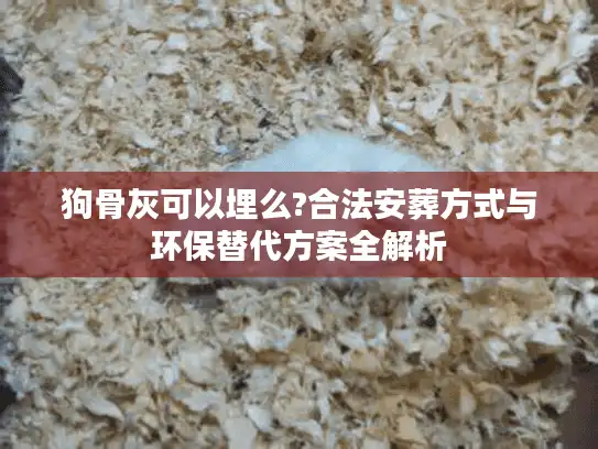 狗骨灰可以埋么?合法安葬方式与环保替代方案全解析