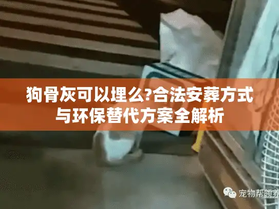 狗骨灰可以埋么?合法安葬方式与环保替代方案全解析