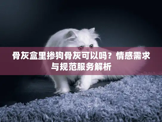骨灰盒里掺狗骨灰可以吗？情感需求与规范服务解析