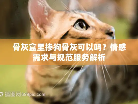 骨灰盒里掺狗骨灰可以吗？情感需求与规范服务解析