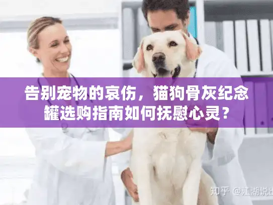 告别宠物的哀伤，猫狗骨灰纪念罐选购指南如何抚慰心灵？