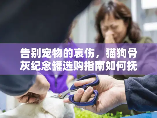 告别宠物的哀伤，猫狗骨灰纪念罐选购指南如何抚慰心灵？