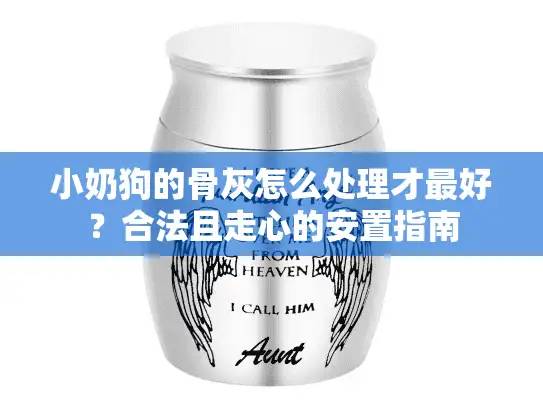 小奶狗的骨灰怎么处理才最好？合法且走心的安置指南
