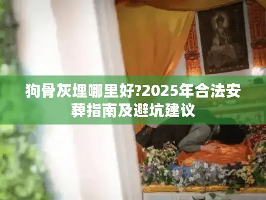 狗骨灰埋哪里好?2025年合法安葬指南及避坑建议