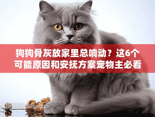狗狗骨灰放家里总响动？这6个可能原因和安抚方案宠物主必看