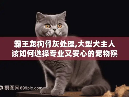 霸王龙狗骨灰处理,大型犬主人该如何选择专业又安心的宠物殡葬服务?