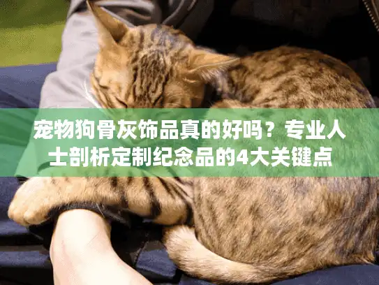 宠物狗骨灰饰品真的好吗？专业人士剖析定制纪念品的4大关键点