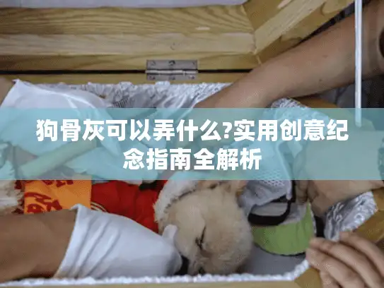 狗骨灰可以弄什么?实用创意纪念指南全解析