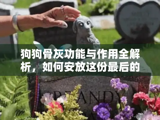 狗狗骨灰功能与作用全解析，如何安放这份最后的爱与思念？