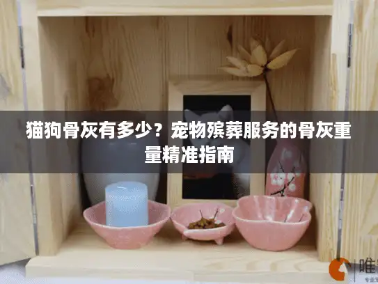 猫狗骨灰有多少？宠物殡葬服务的骨灰重量精准指南