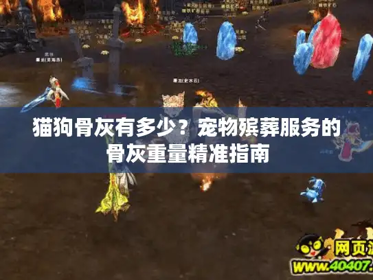 猫狗骨灰有多少？宠物殡葬服务的骨灰重量精准指南