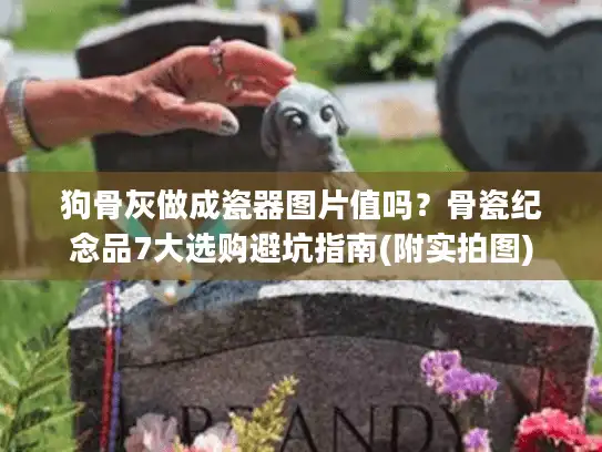 狗骨灰做成瓷器图片值吗？骨瓷纪念品7大选购避坑指南(附实拍图)