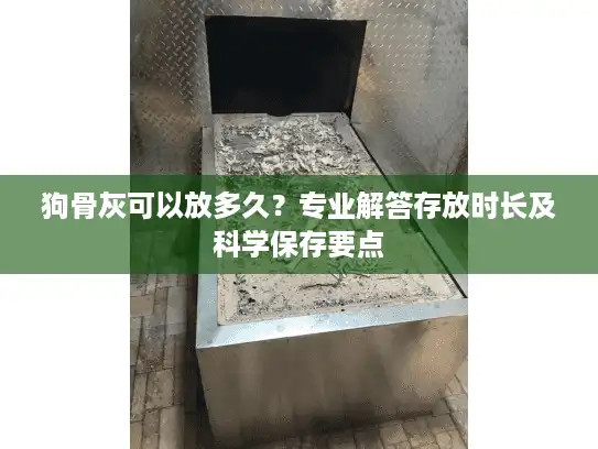 狗骨灰可以放多久？专业解答存放时长及科学保存要点