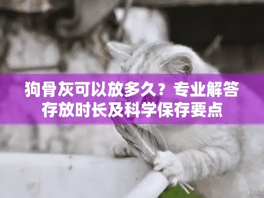 狗骨灰可以放多久？专业解答存放时长及科学保存要点