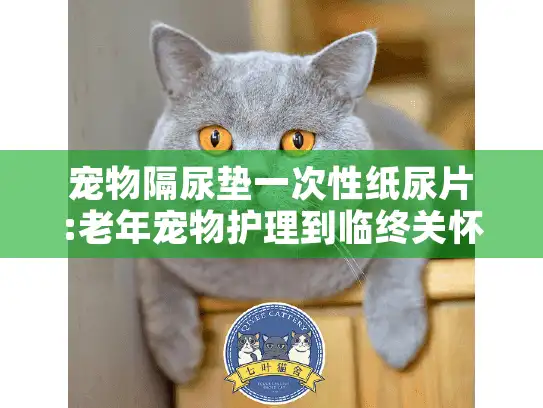 宠物隔尿垫一次性纸尿片:老年宠物护理到临终关怀的必备方案