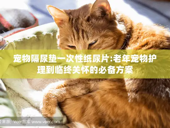 宠物隔尿垫一次性纸尿片:老年宠物护理到临终关怀的必备方案