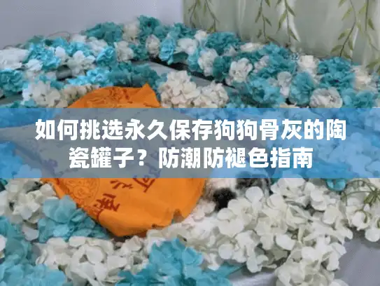 如何挑选永久保存狗狗骨灰的陶瓷罐子？防潮防褪色指南