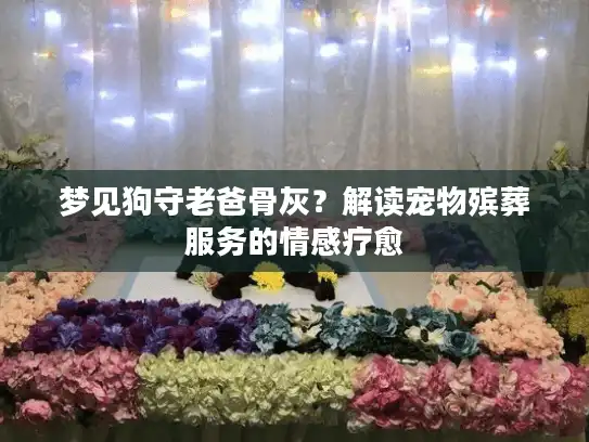 梦见狗守老爸骨灰？解读宠物殡葬服务的情感疗愈