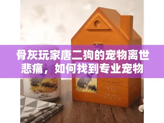 骨灰玩家唐二狗的宠物离世悲痛，如何找到专业宠物殡葬服务？