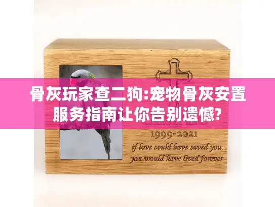骨灰玩家查二狗:宠物骨灰安置服务指南让你告别遗憾?