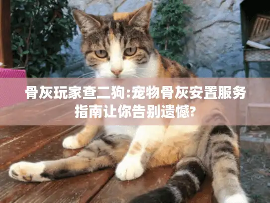 骨灰玩家查二狗:宠物骨灰安置服务指南让你告别遗憾?