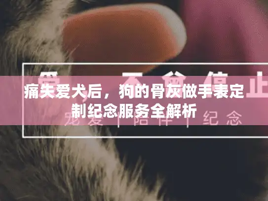 痛失爱犬后，狗的骨灰做手表定制纪念服务全解析