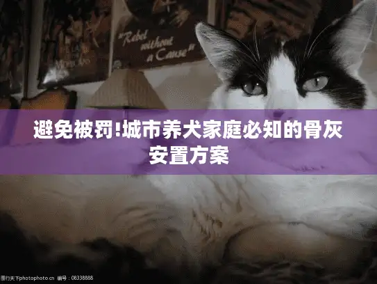 避免被罚!城市养犬家庭必知的骨灰安置方案
