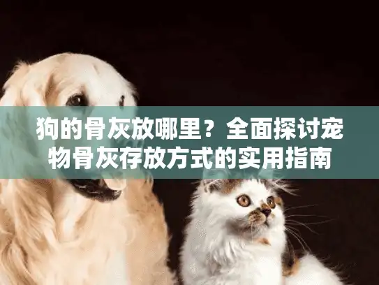 狗的骨灰放哪里？全面探讨宠物骨灰存放方式的实用指南