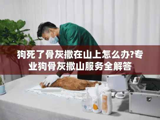 狗死了骨灰撒在山上怎么办?专业狗骨灰撒山服务全解答